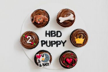 birthday cupcakes for dogs