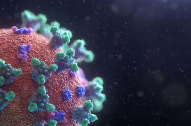 visualisation of the coronavirus